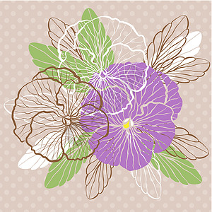 兵团花园插图绿色褐色植物花束叶子花瓣白色紫色图片
