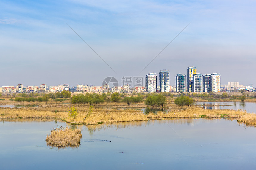 具有水生生态系统的城市景观图片