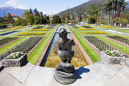 花园场地季节棕榈植物群公园叶子花朵农业灯泡旅行图片