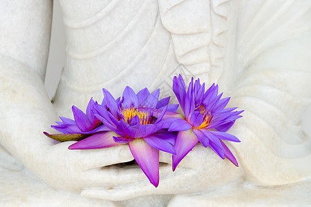 佛像手上的鲜花文化雕像艺术石头蓝色棕榈寺庙手指百合上帝图片