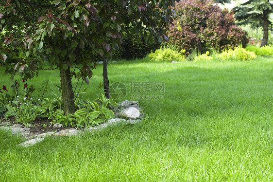 和平花园花园房子财产蓝色建筑园林投资房地产生活住宅图片