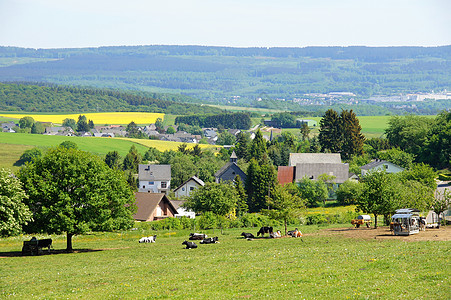 Hunsrü莫尔巴赫附近的Hunsrück高清图片