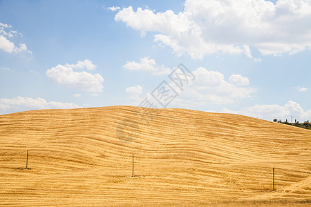 托斯卡纳国家农业风景黄色农田草地天空农村场地绿色山坡图片