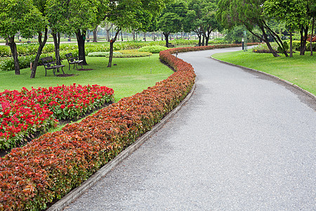 夏季热带花园美化路线小路后院植物学风格人行道胡同车道院子图片