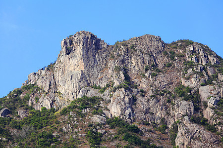 香港的狮子岩石山喇叭草地植物爬坡蓝色绿色岩石天空图片
