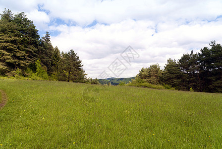 登山旅行小道Eifelsteig上牧歌草地远足丛林足迹山毛榉绿色踪迹树木叶子图片