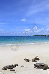 泰国沙美岛波浪青色植物植物群支撑冲浪海滩叶子天空海岸线背景