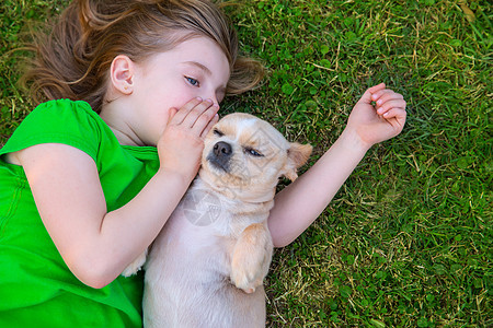 金发快乐的女孩 带着她的吉华华小狗肖像拥抱耳语毛皮孩子们后院吉祥物幸福秘密朋友尺寸图片