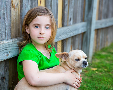 金发快乐的女孩 带着她的吉华华小狗肖像眼睛吉祥物毛皮孩子蓝色朋友宠物婴儿女性孩子们图片