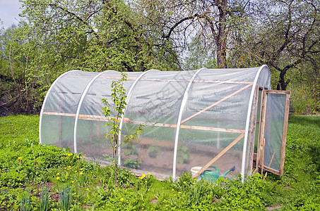 农场花园中原始的塑料温室高清图片