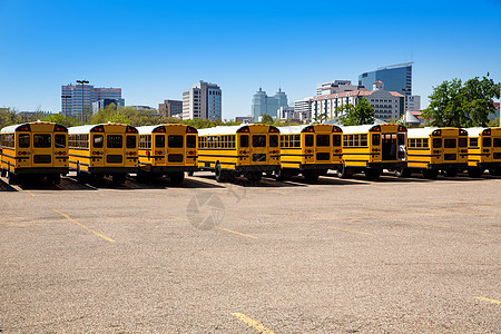 休斯顿典型的美国校车后方风景图片