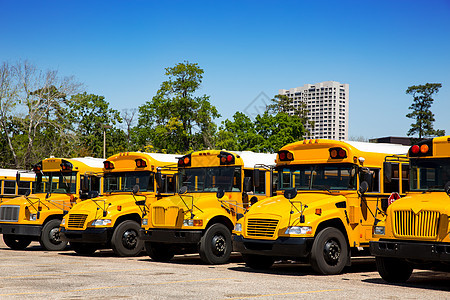 美国典型的校车在停车场排成一排驾驶童年运输白色过境黄色车辆孩子们民众孩子图片