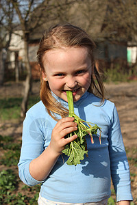 女孩在嚼着小青春的粗巴植物乐趣童年衣服植物学孩子们食物孩子生活叶子图片