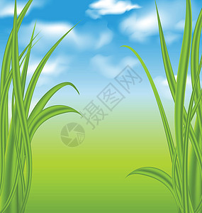 绿色草地和天空的自然背景图片