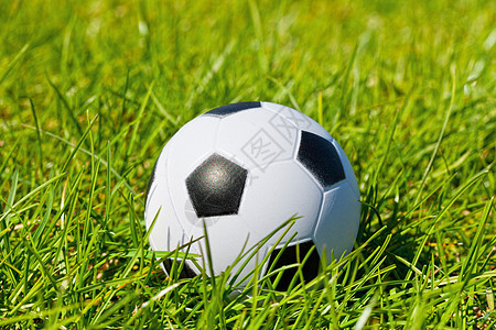 足球在绿色的草地上图片