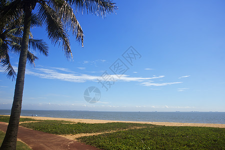 海海海滩背景图像风景地平线太阳冲浪海岸蓝色季节旅游天空海洋图片