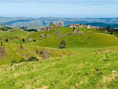 农场地貌景观场景 Hawkes Bay 新西兰荒野牧场农村崎岖丘陵环境孤独风景编队农业图片