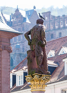 德国海德堡市广场的赫拉克勒斯雕像墙壁大力士城市旅游旅行城堡景观建筑学鸽子脖子图片