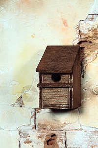 鸟鸟屋盒子白色工艺野生动物木板花园荒野木头乡村动物图片