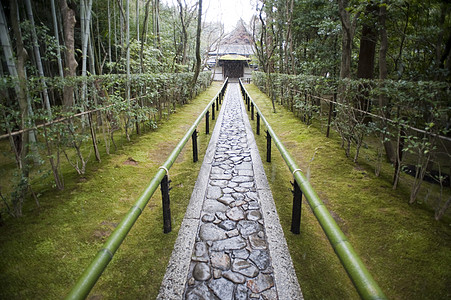 五常龙凤山Daitoku-ji 的子图例 Koto- in 路径背景