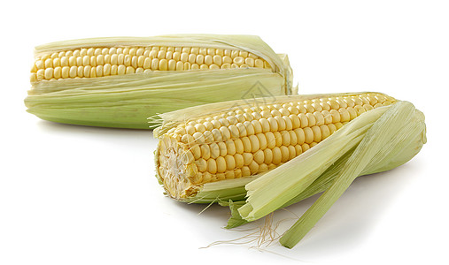 玉米饼蔬菜黄色生产绿色食物玉米芯背景图片