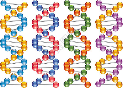 彩色 dna 线条集图片