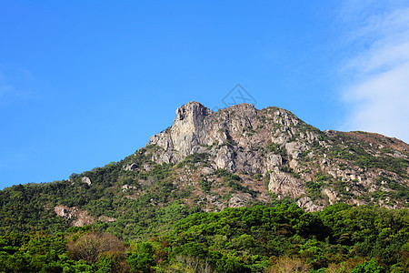 香港的狮子石草地环境绿色远足岩石植物狮子森林石头天空图片