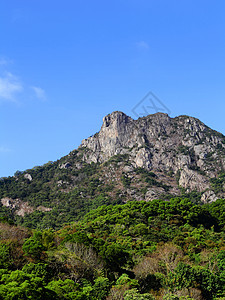 香港的狮子石石头植物草地天空地标绿色狮子爬坡岩石图片