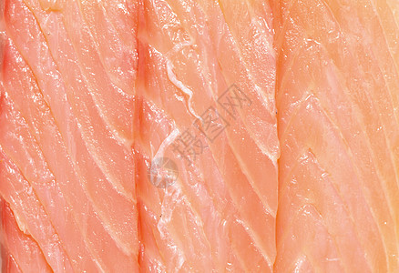 鱼片厨房鲑鱼密友食物美味美食家盐渍熟食照片美食图片