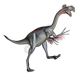 巨虫恐龙灭绝羽毛龙类杂食性侏罗纪虚骨动物蜥蜴古生物学生物图片