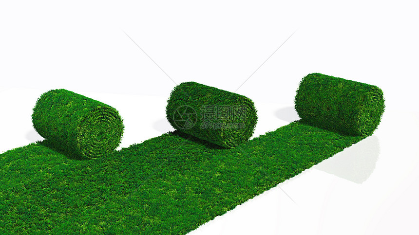 3卷草地毯图片