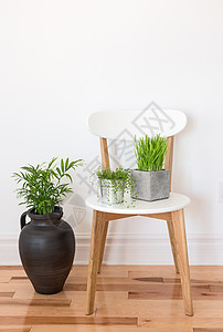 带绿色植物的白木椅图片