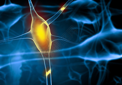 神经细胞插图核子脉冲树突生物激素电子身体信号情感风暴图片