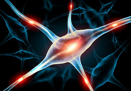神经细胞插图冲动激素头脑改造分数信号解剖学神经元生物学网络图片
