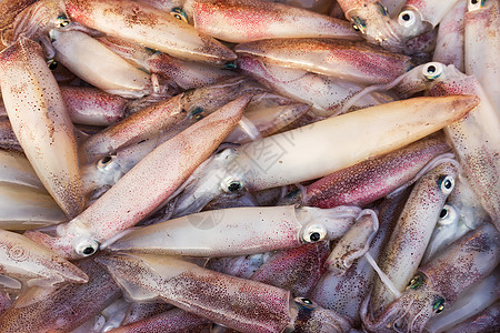 新鲜鱿鱼宏观章鱼海洋探者紫色墨水美食生活触手乌贼图片
