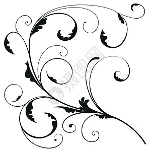 花花装饰花朵装饰框架叶子漩涡芙蓉艺术品滚动黑色螺旋图片