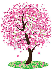 樱樱桃树植物花瓣花园叶子插图绿色季节天空粉色樱花图片