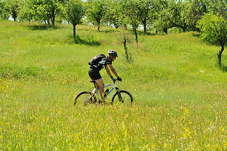 门外骑自行车者乐趣山地乡村生活花朵绿色场地晴天树木运动图片