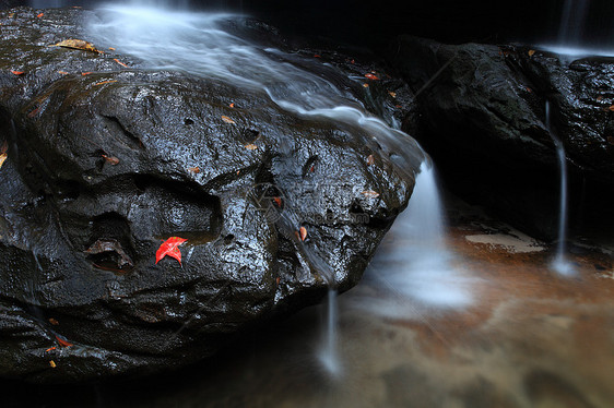 瀑布热带雨林急流森林水道湿度溜槽白内障自然浸泡木头图片