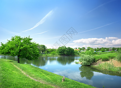 与河流相伴的春天风景色彩花园爬坡树木草地太阳池塘日出土地阳光图片