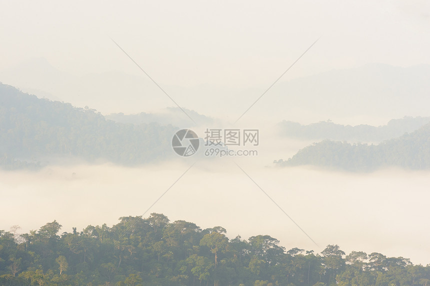 在泰国雨林中美丽的漂浮雾图片