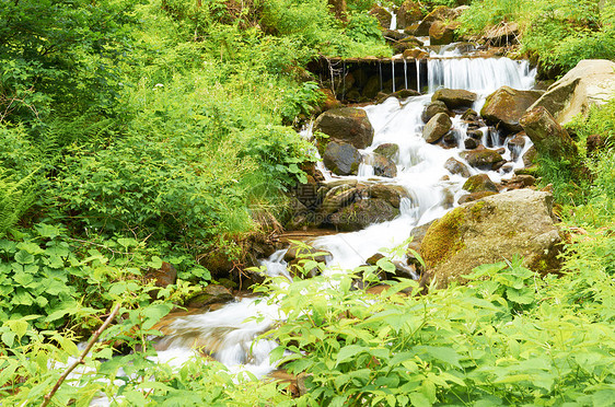 山瀑陷叶子苔藓运动木头植物公园环境热带森林溪流图片