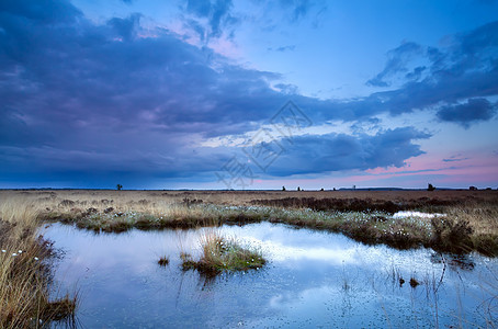 在沼泽上柔软微妙的日落图片