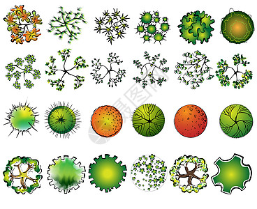 一套彩色树顶符号 用于建筑设计或景观设计图片