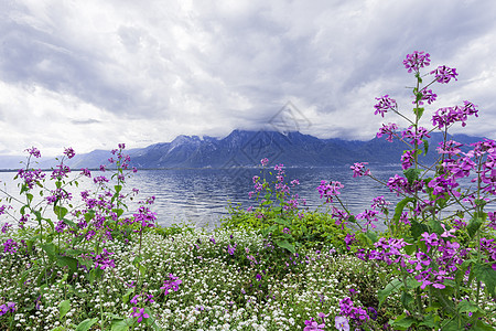 瑞士蒙特勒山山对山的鲜花戏剧性阴影顶峰全景天空明信片水景反射高山海报图片