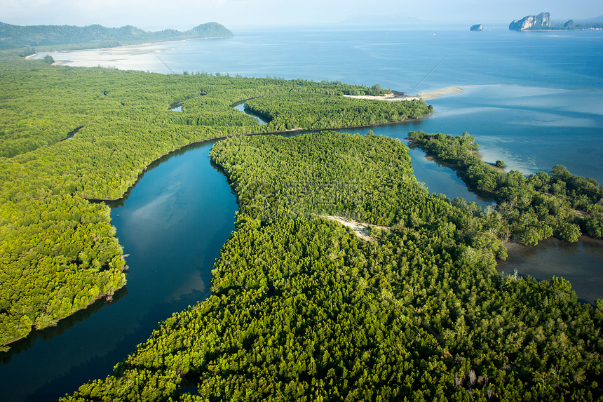 红树林和河流的空中观察晴天植被丛林盐水钥匙植物群阳光沼泽叶子反射图片