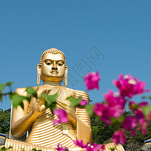 斯里兰卡达姆布拉金金殿寺建筑学蓝色石头旅行世界佛教徒文化天空金子冥想图片