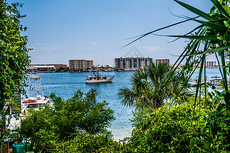 佛罗里达海滩景阳光场景海岸线海洋海滩天空反射海岸蓝色波浪图片