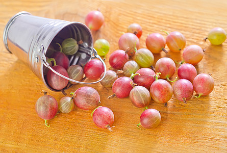 鹅莓食物树叶醋栗养分种子美味甜点团体茶点国家图片