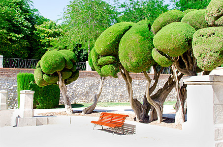 马德里欢乐务虚会公园的树木和板凳衬套地标天空旅行历史绿色古董皇家公园植物图片